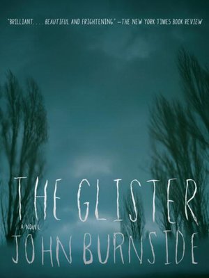 cover image of Glister